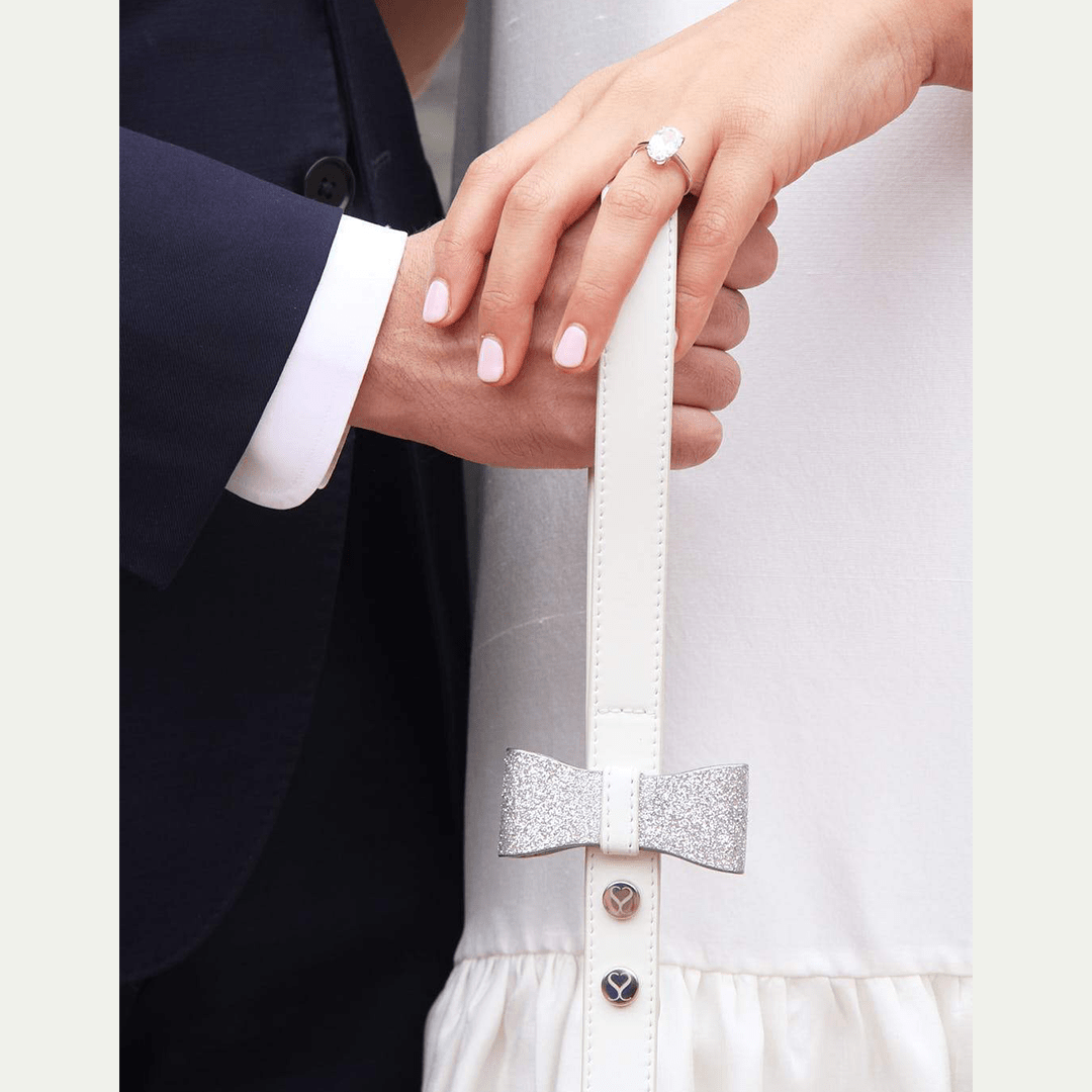 BEN LEASH - PRECIOUS PET