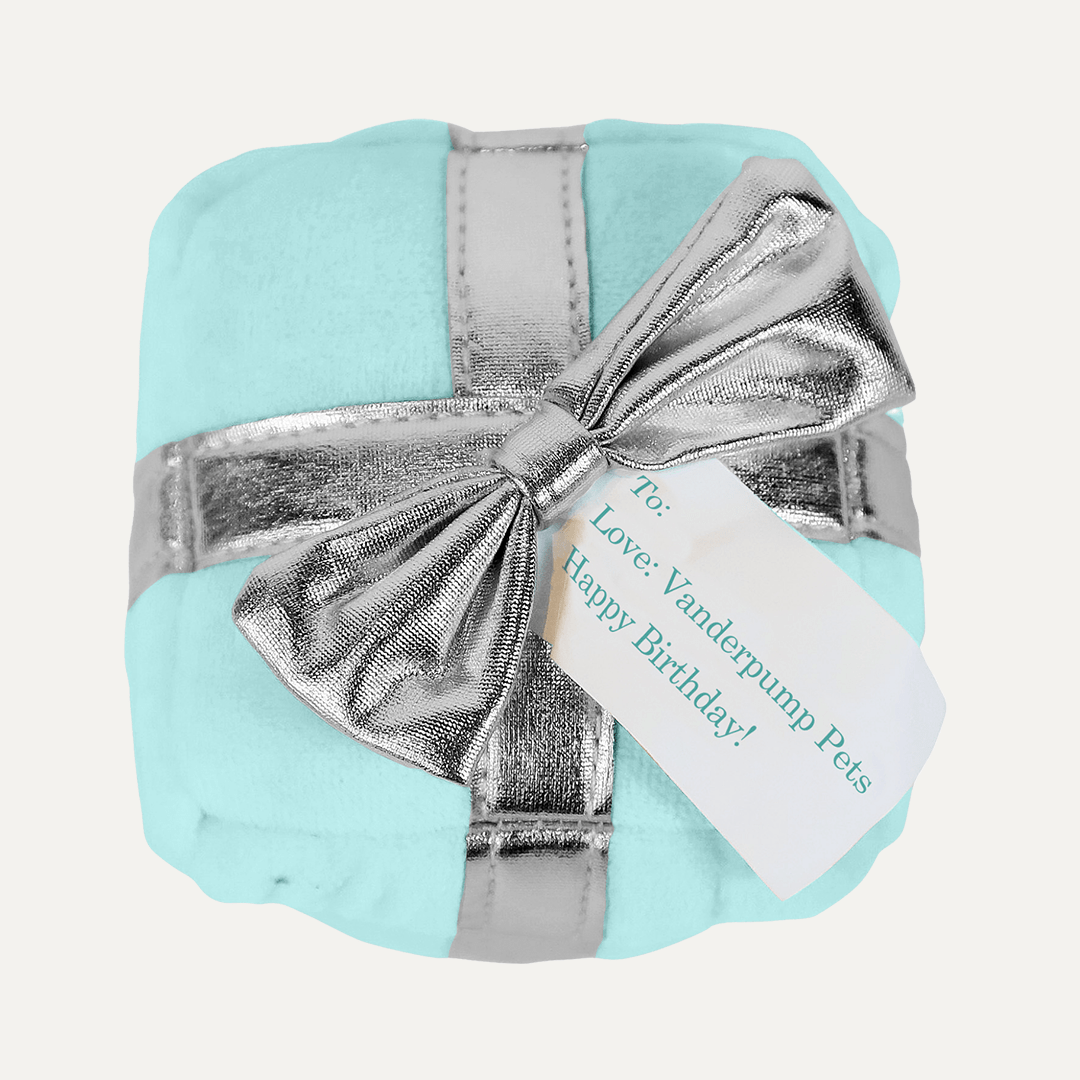 BIRTHDAY GIFT PLUSH TOY BLUE - PRECIOUS PET