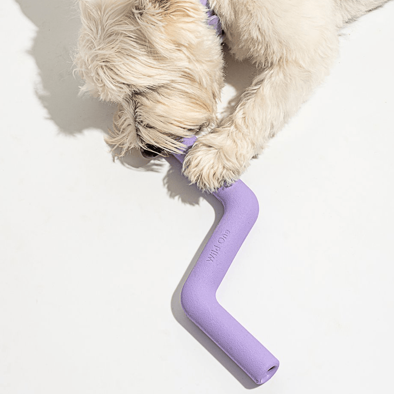 BOLT BITE LILAC - PRECIOUS PET