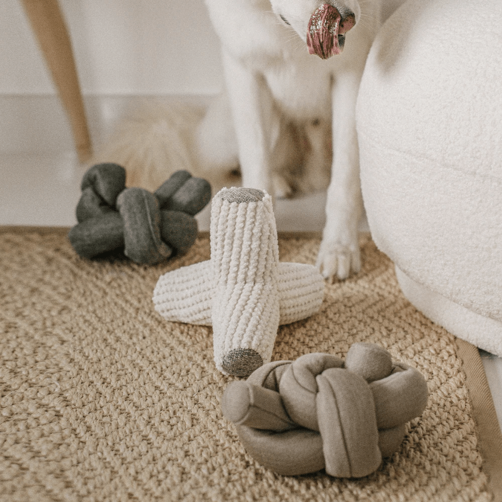 BREUER CREAM - PRECIOUS PET