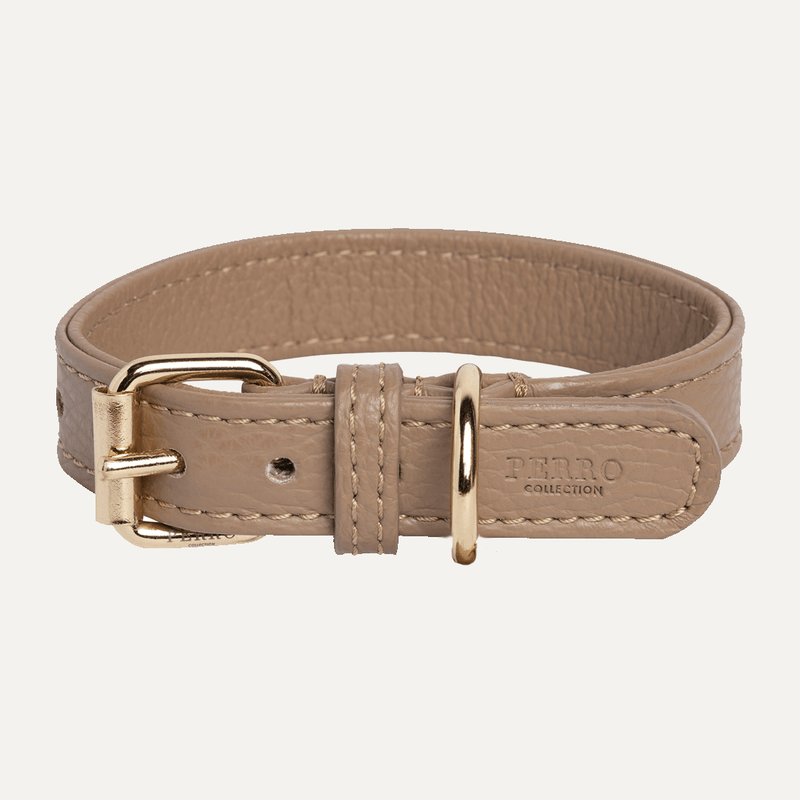 CAFFE LATTE COLLAR HALSBÅND - PRECIOUS PET