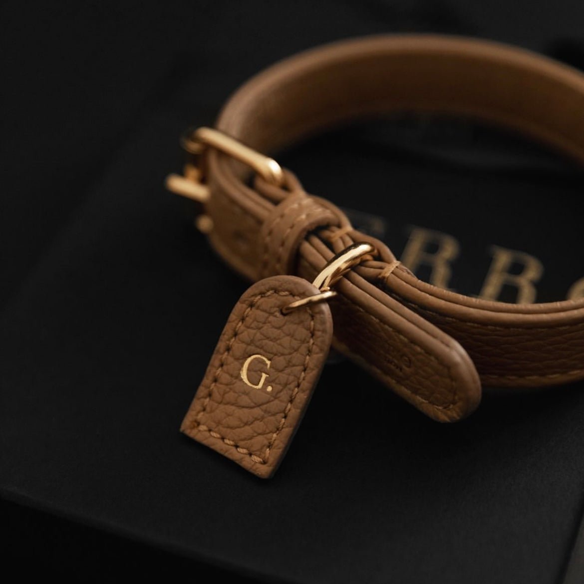 CAFFE LATTE COLLAR HALSBÅND - PRECIOUS PET