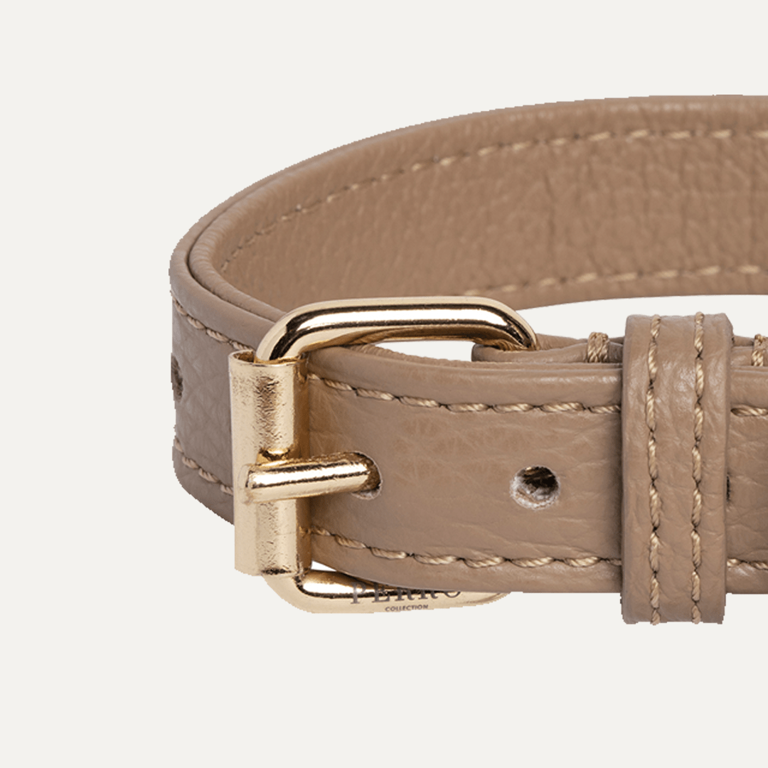 CAFFE LATTE COLLAR HALSBÅND - PRECIOUS PET