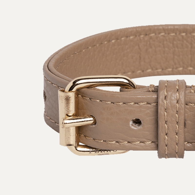 CAFFE LATTE COLLAR HALSBÅND - PRECIOUS PET