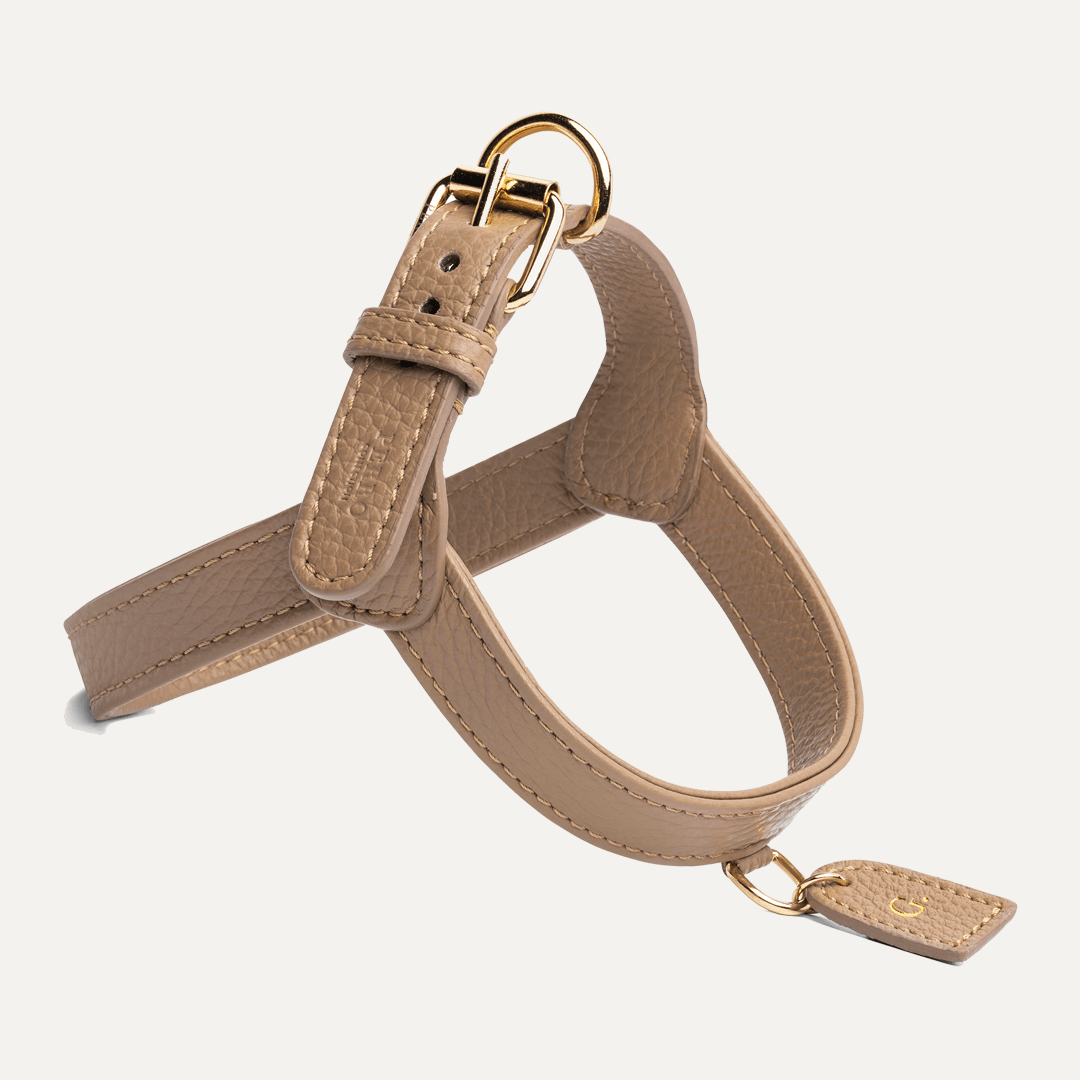 CAFFE LATTE HARNESS - PRECIOUS PET