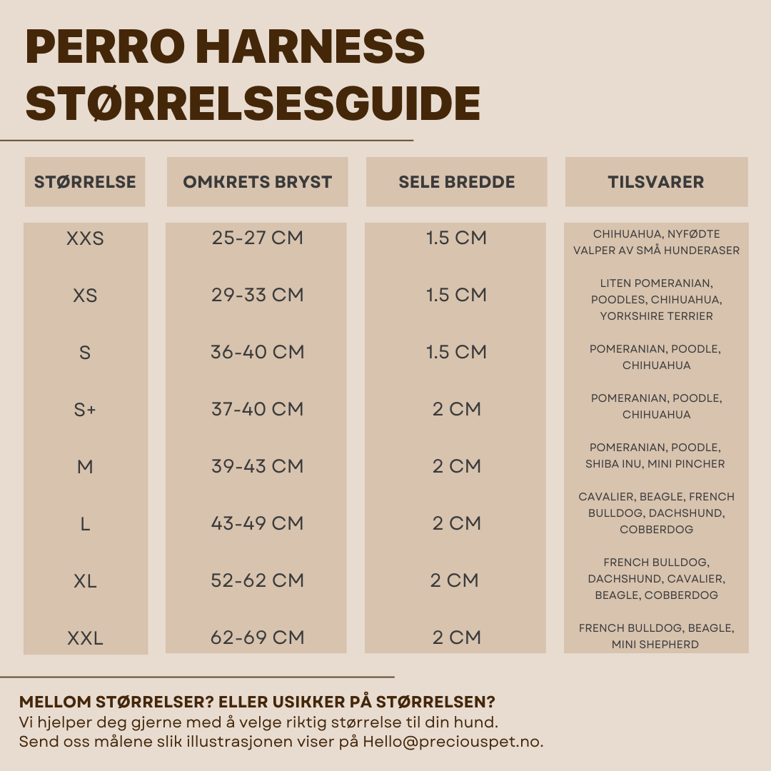 CAFFE LATTE HARNESS - PRECIOUS PET