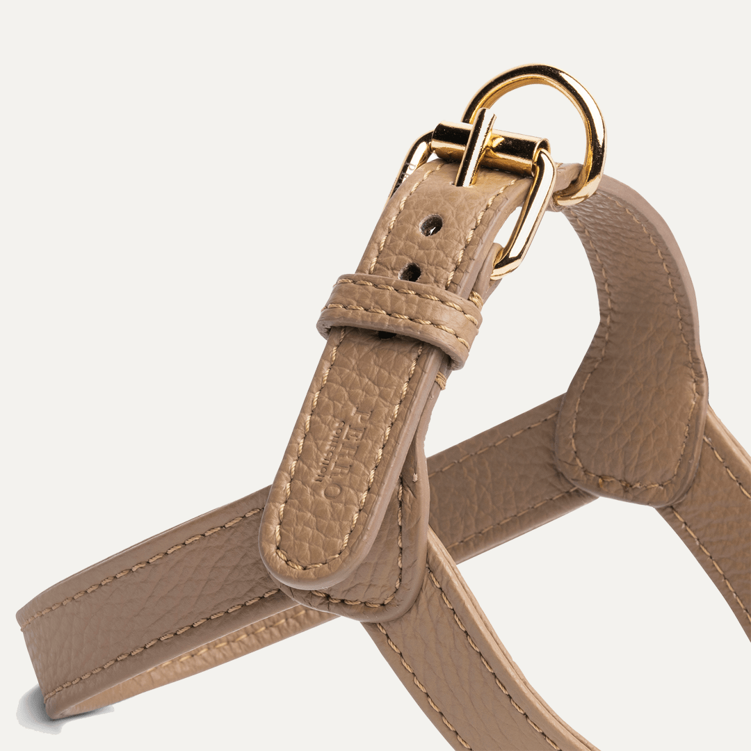 CAFFE LATTE HARNESS - PRECIOUS PET