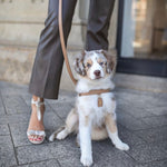 CAFFE LATTE HARNESS - PRECIOUS PET