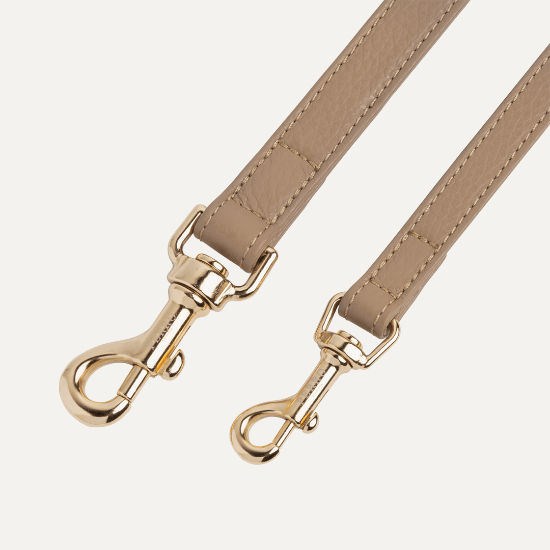 CAFFE LATTE LEASH - PRECIOUS PET