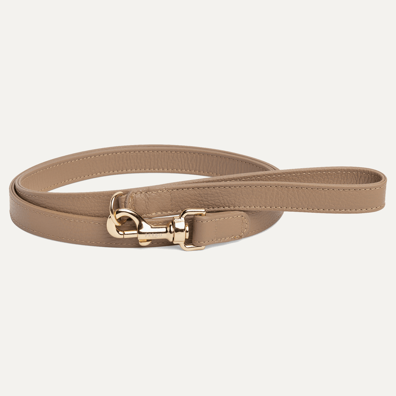 CAFFE LATTE LEASH - PRECIOUS PET