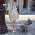 CAFFE LATTE LEASH - PRECIOUS PET