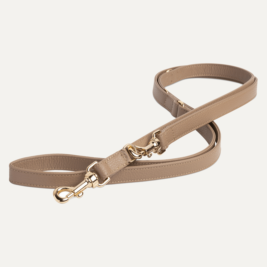 CAFFE LATTE LEASH - PRECIOUS PET