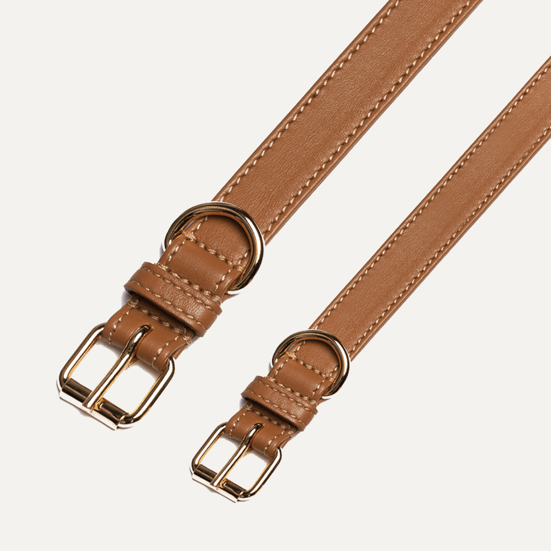 CARAMEL COLLAR HALSBÅND - PRECIOUS PET