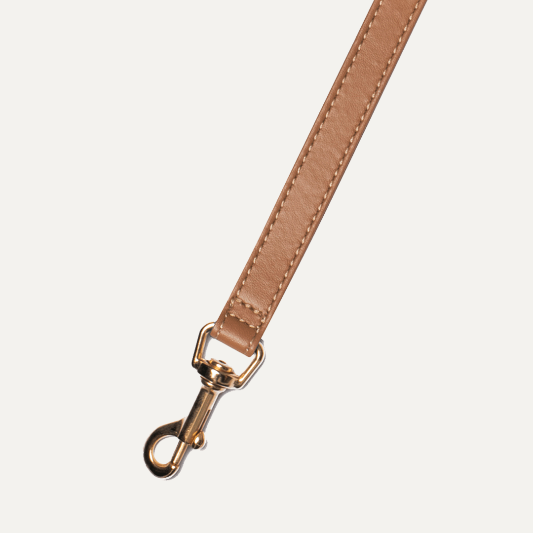 CARAMEL DUAL LEASH - PRECIOUS PET
