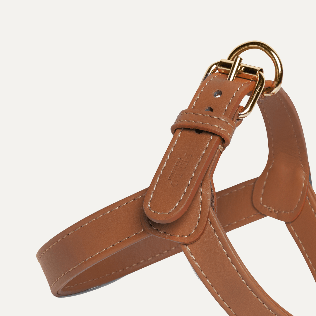 CARAMEL HARNESS - PRECIOUS PET