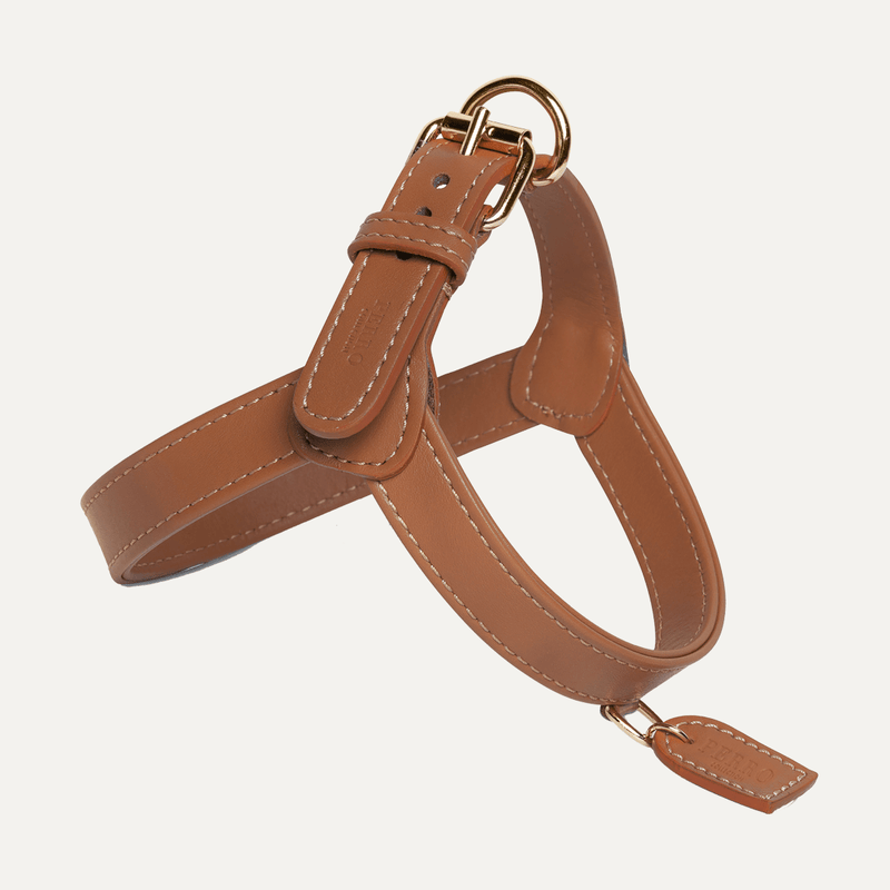 CARAMEL HARNESS - PRECIOUS PET