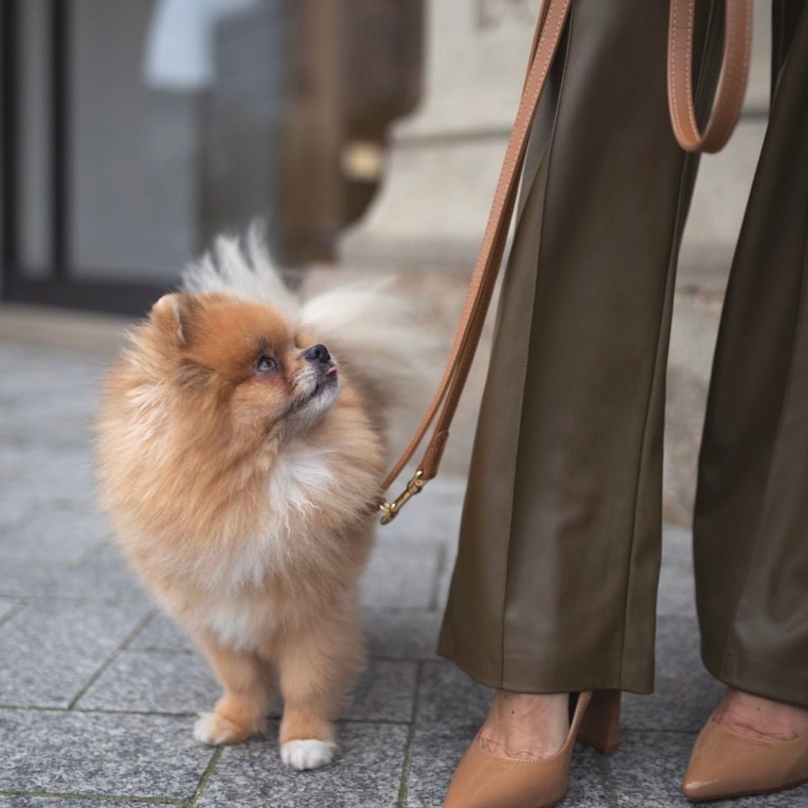 CARAMEL LEASH - PRECIOUS PET