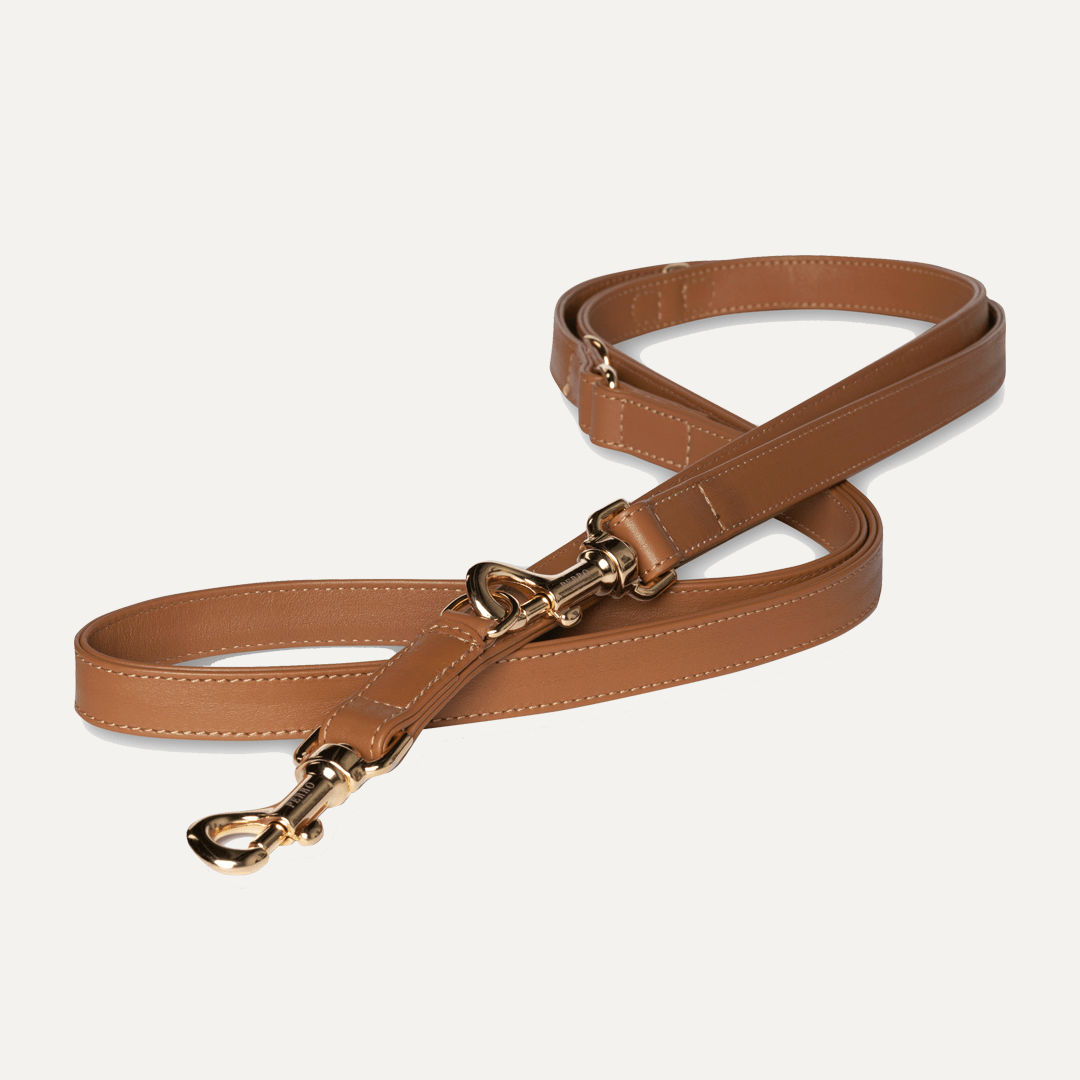 CARAMEL LEASH - PRECIOUS PET