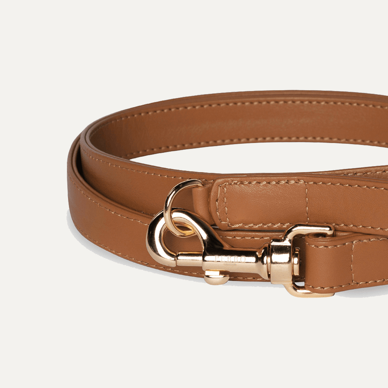 CARAMEL LEASH - PRECIOUS PET