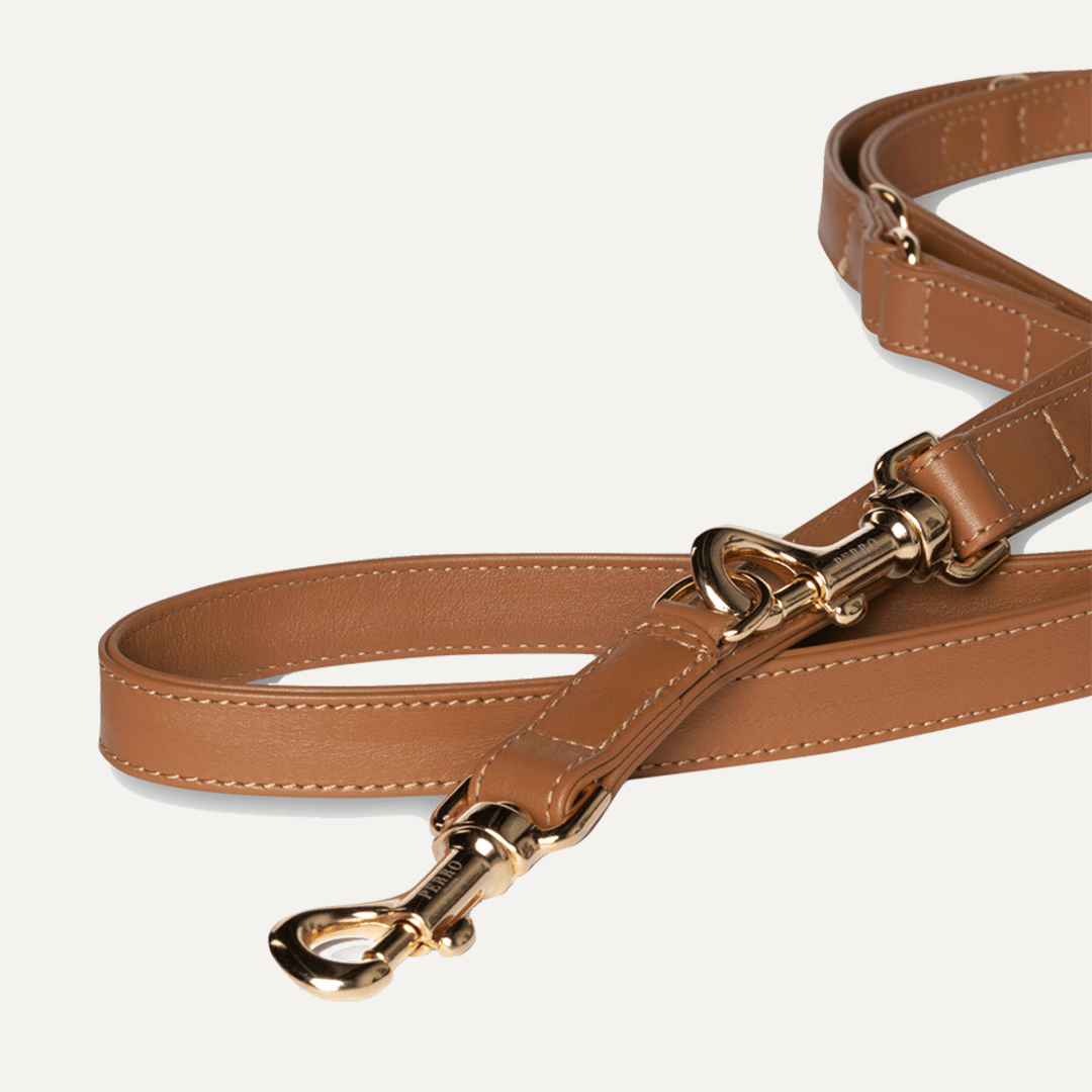 CARAMEL LEASH - PRECIOUS PET