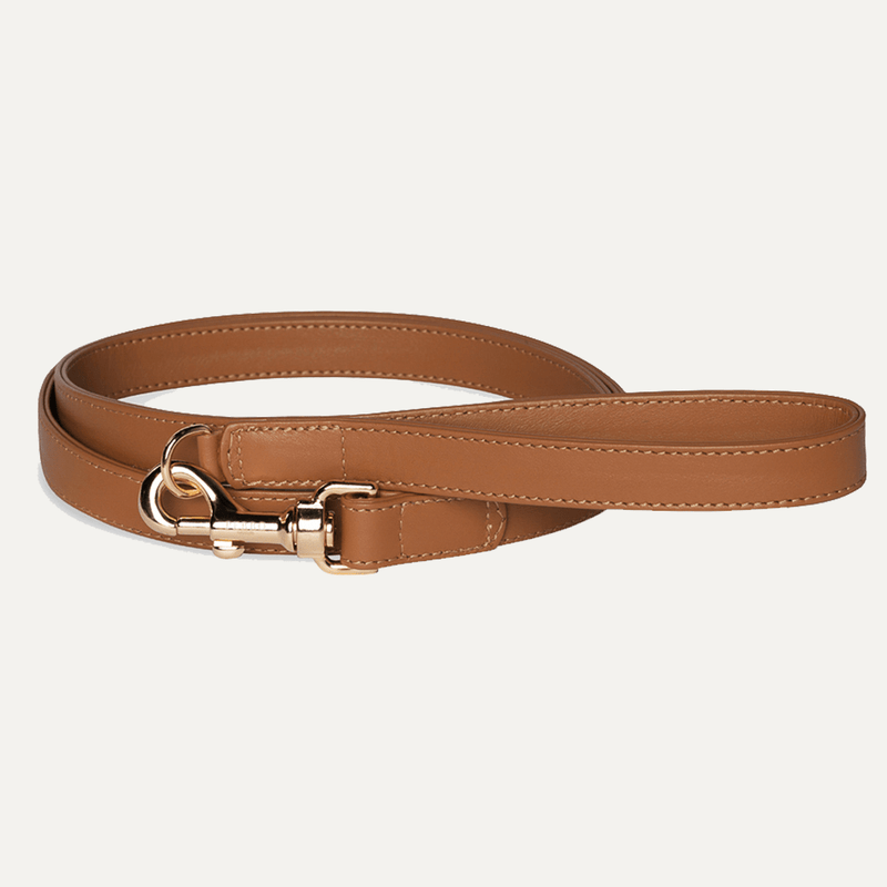 CARAMEL LEASH - PRECIOUS PET
