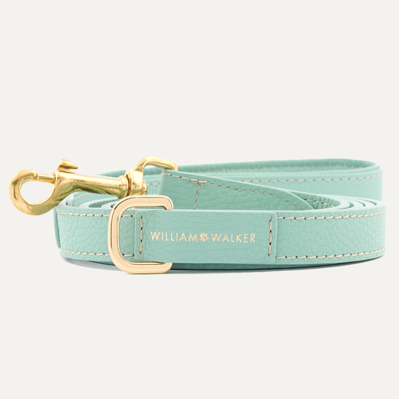CITY LEASH MINT - PRECIOUS PET