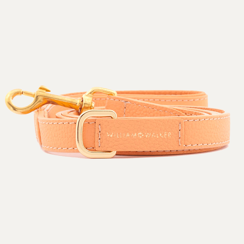 CITY LEASH ORANGE - PRECIOUS PET
