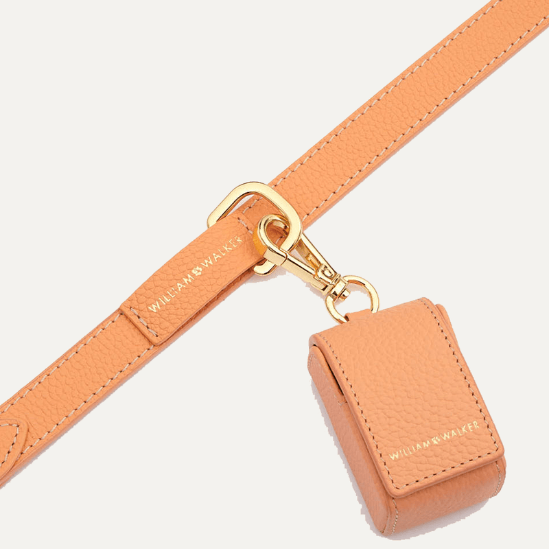CITY LEASH ORANGE - PRECIOUS PET