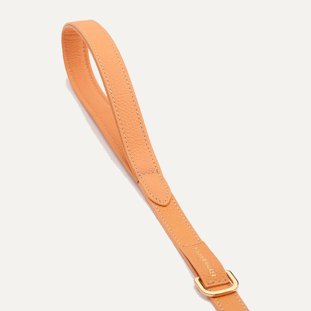 CITY LEASH ORANGE - PRECIOUS PET