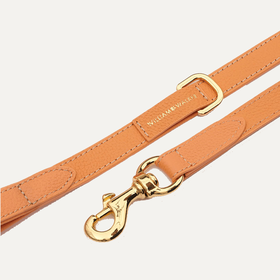 CITY LEASH ORANGE - PRECIOUS PET