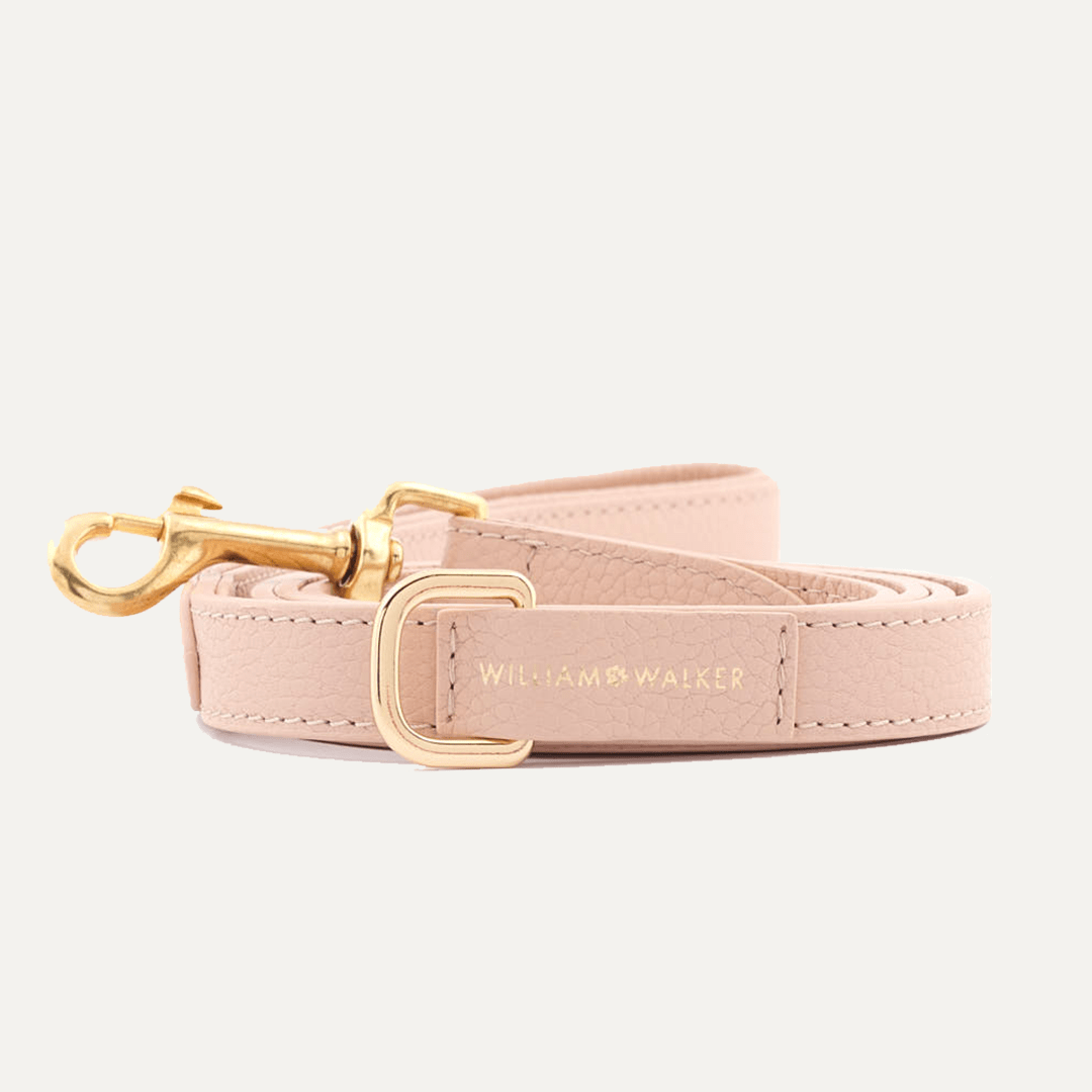 CITY LEASH ROSE - PRECIOUS PET