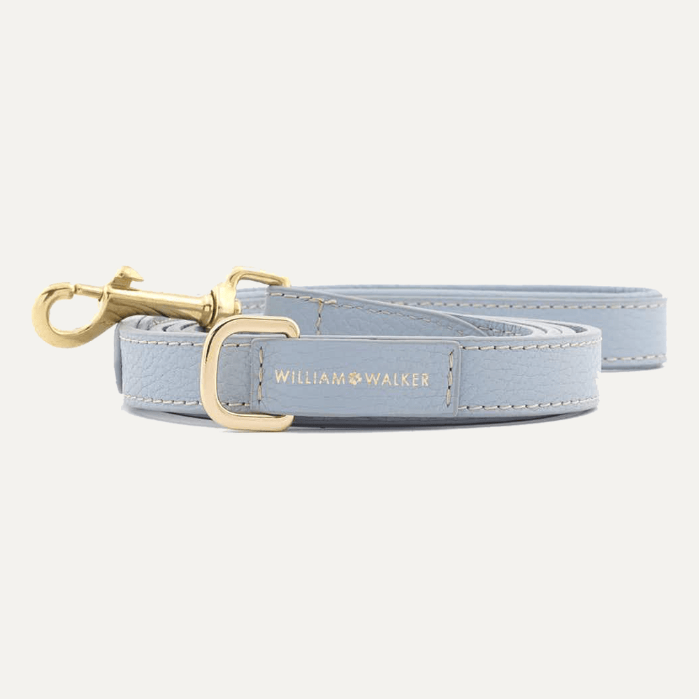 CITY LEASH SKY - PRECIOUS PET