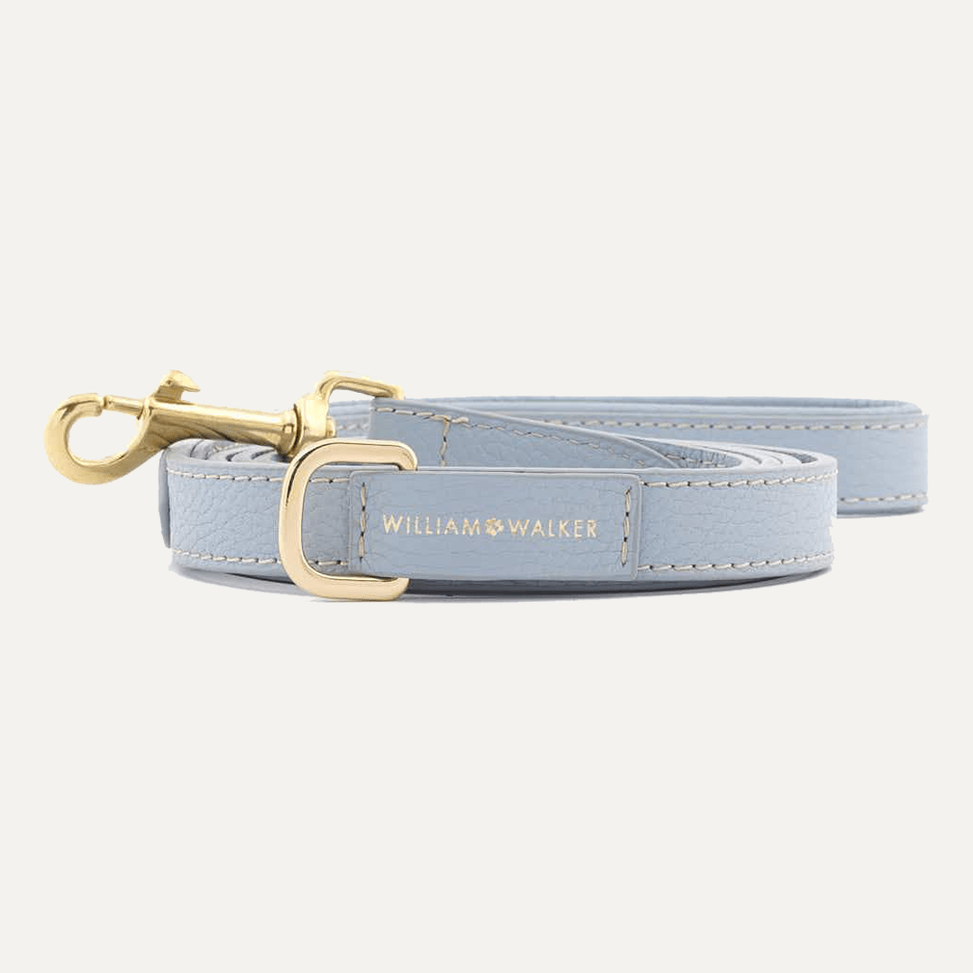 CITY LEASH SKY - PRECIOUS PET