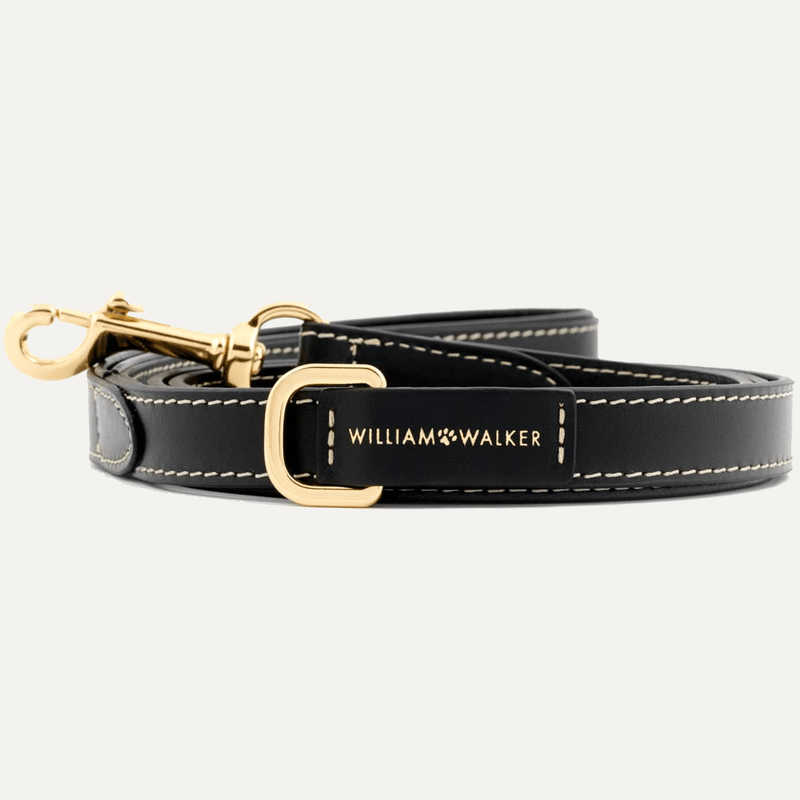 CITY SMOOTH LEASH NOIR - PRECIOUS PET