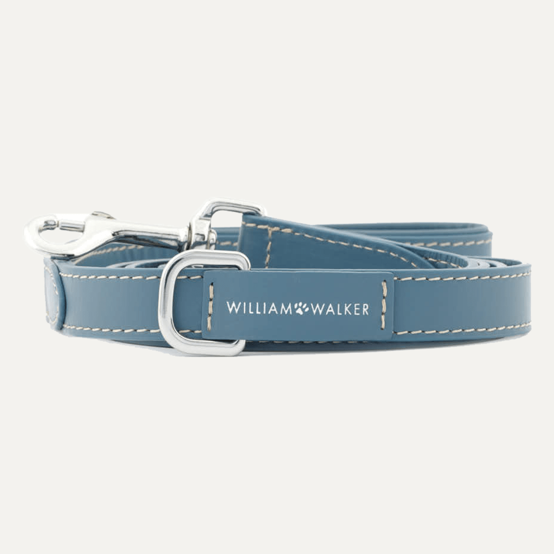 CITY SMOOTH LEASH OCEAN - PRECIOUS PET