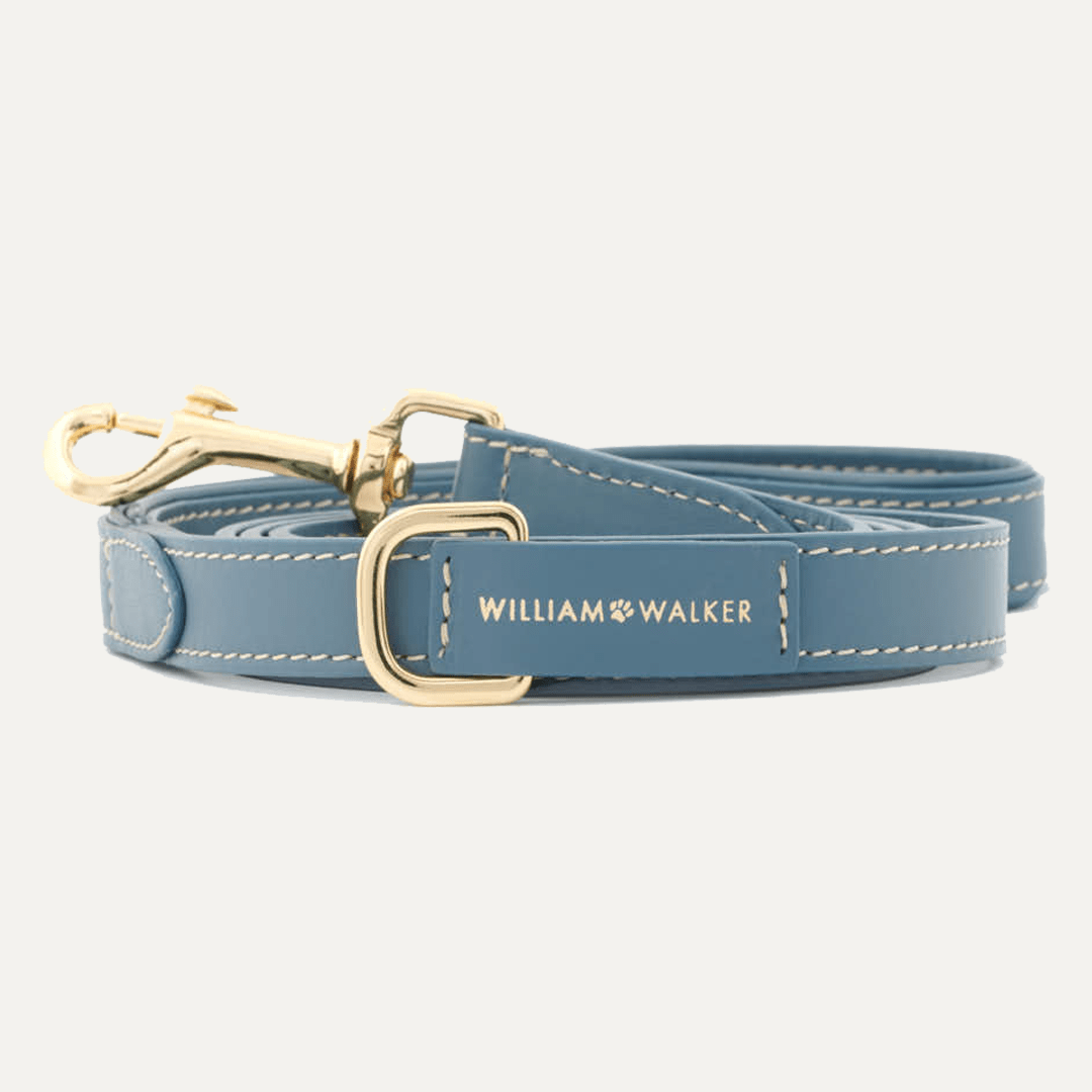 CITY SMOOTH LEASH OCEAN - PRECIOUS PET