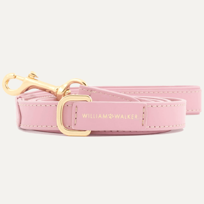 CITY SMOOTH LEASH ROSE - PRECIOUS PET