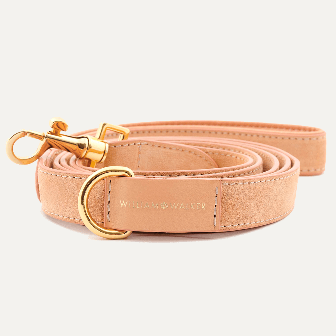 CITY SUEDE LEASH CORAL - PRECIOUS PET