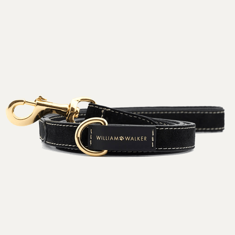 CITY SUEDE LEASH ROYAL BLACK - PRECIOUS PET