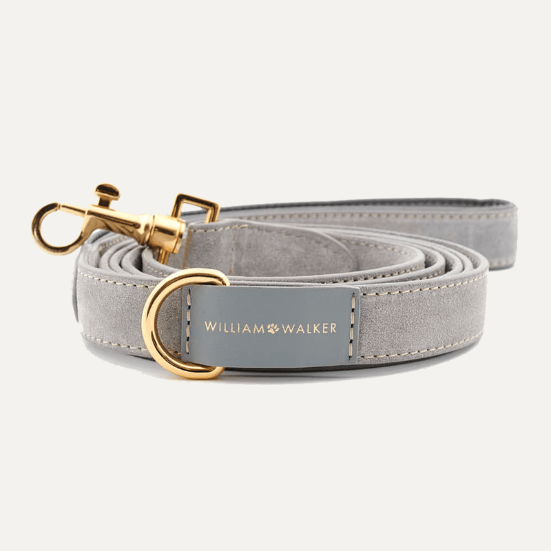 CITY SUEDE LEASH SEA SALT - PRECIOUS PET