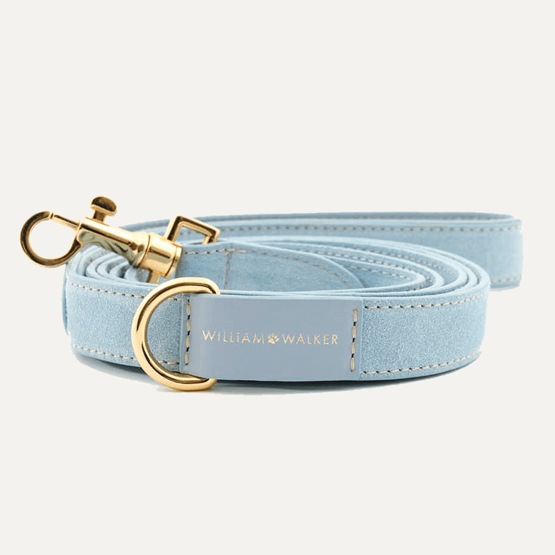 CITY SUEDE LEASH SKY - PRECIOUS PET