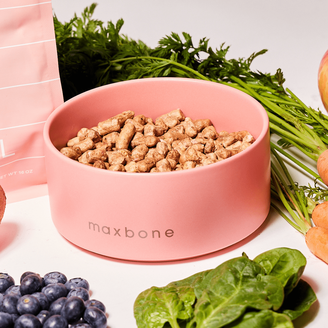 CLASSIC CERAMIC BOWL PINK - PRECIOUS PET