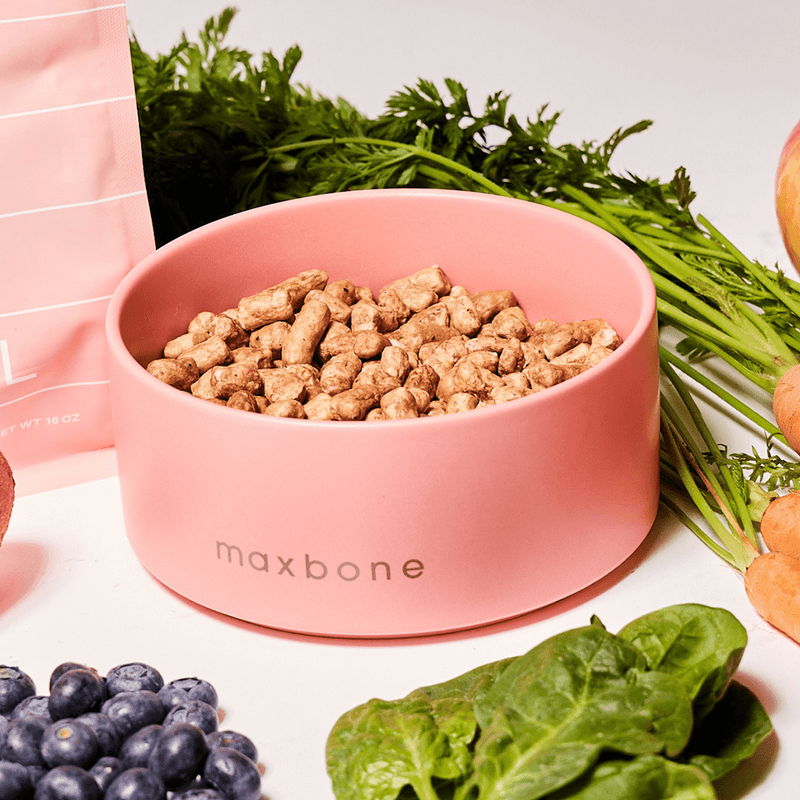 CLASSIC CERAMIC BOWL PINK - PRECIOUS PET