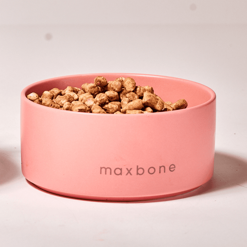 CLASSIC CERAMIC BOWL PINK - PRECIOUS PET