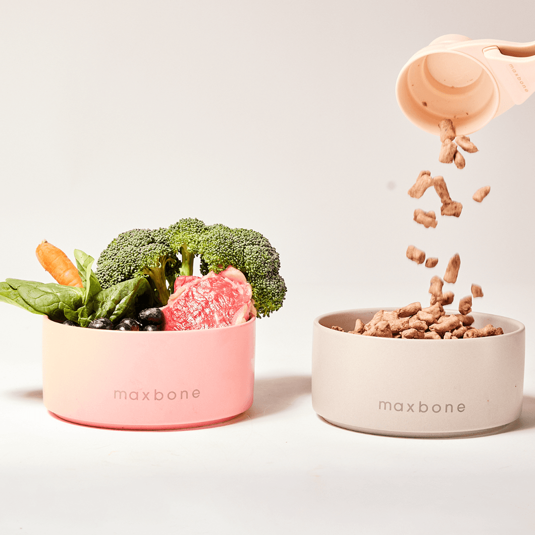 CLASSIC CERAMIC BOWL PINK - PRECIOUS PET