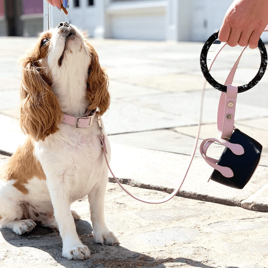 CLEAN UP PURSE BLUSH PINK - PRECIOUS PET