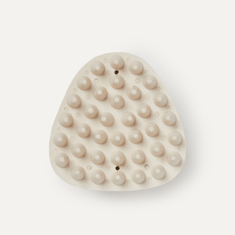 COAT THERAPY BRUSH - PRECIOUS PET