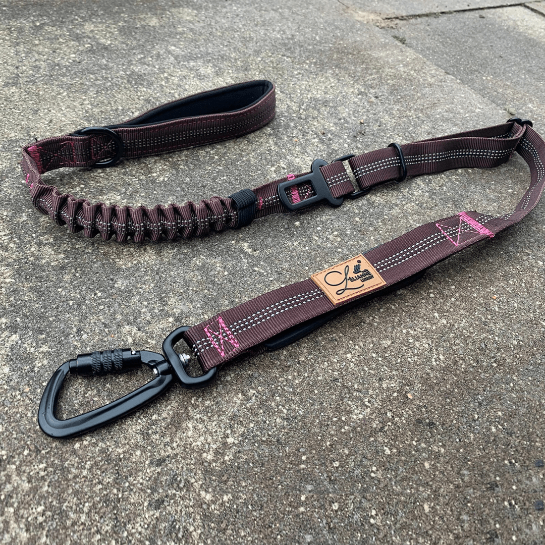 DOG CAR SEAT BELT BILBELTE - PRECIOUS PET