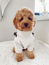 DOG RAIN COVER BEIGE - PRECIOUS PET