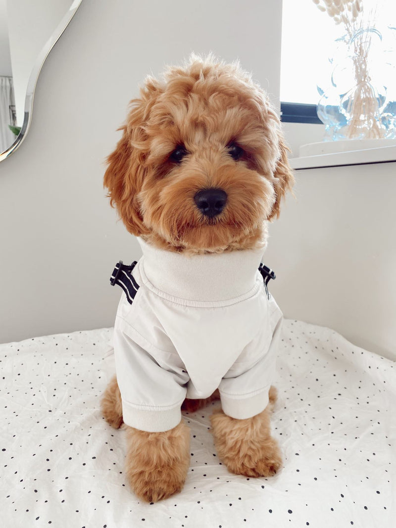 DOG RAIN COVER BEIGE - PRECIOUS PET